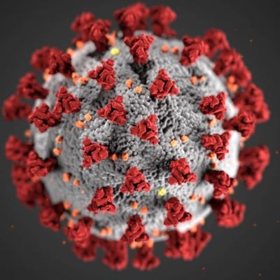 coronavirus